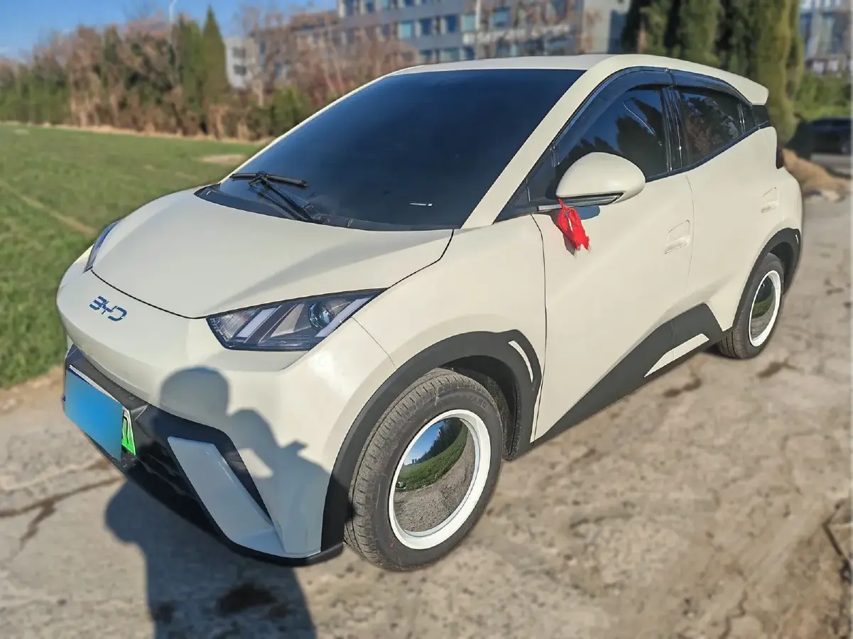 2025 BYD Seagull BEV 30.08KWH