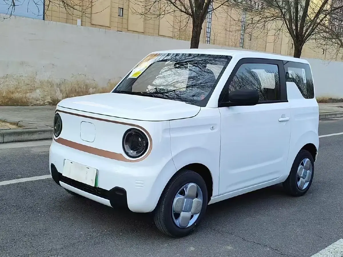 2024 Geely Panda BEV 17.03KWH