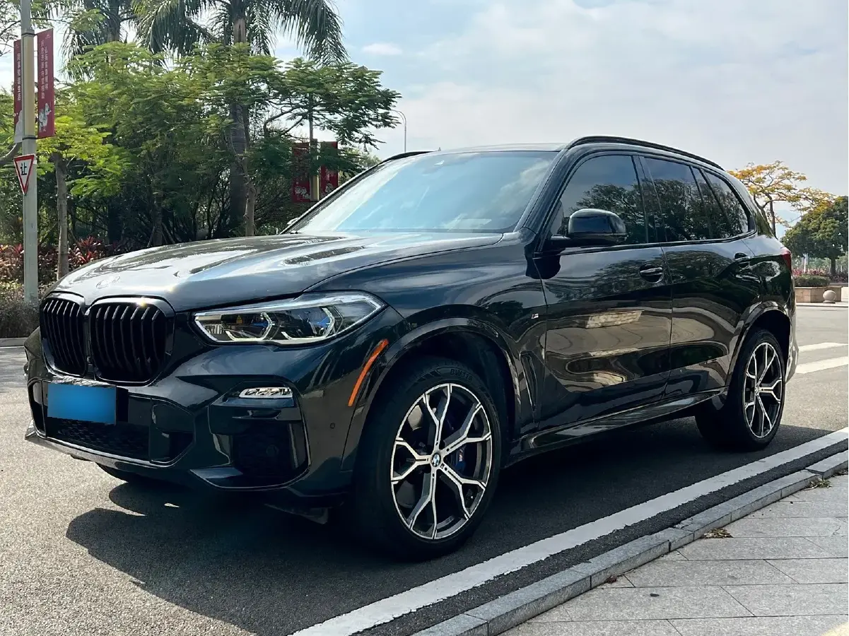 2019 BMW X5 3.0T 340HP L6 8AT