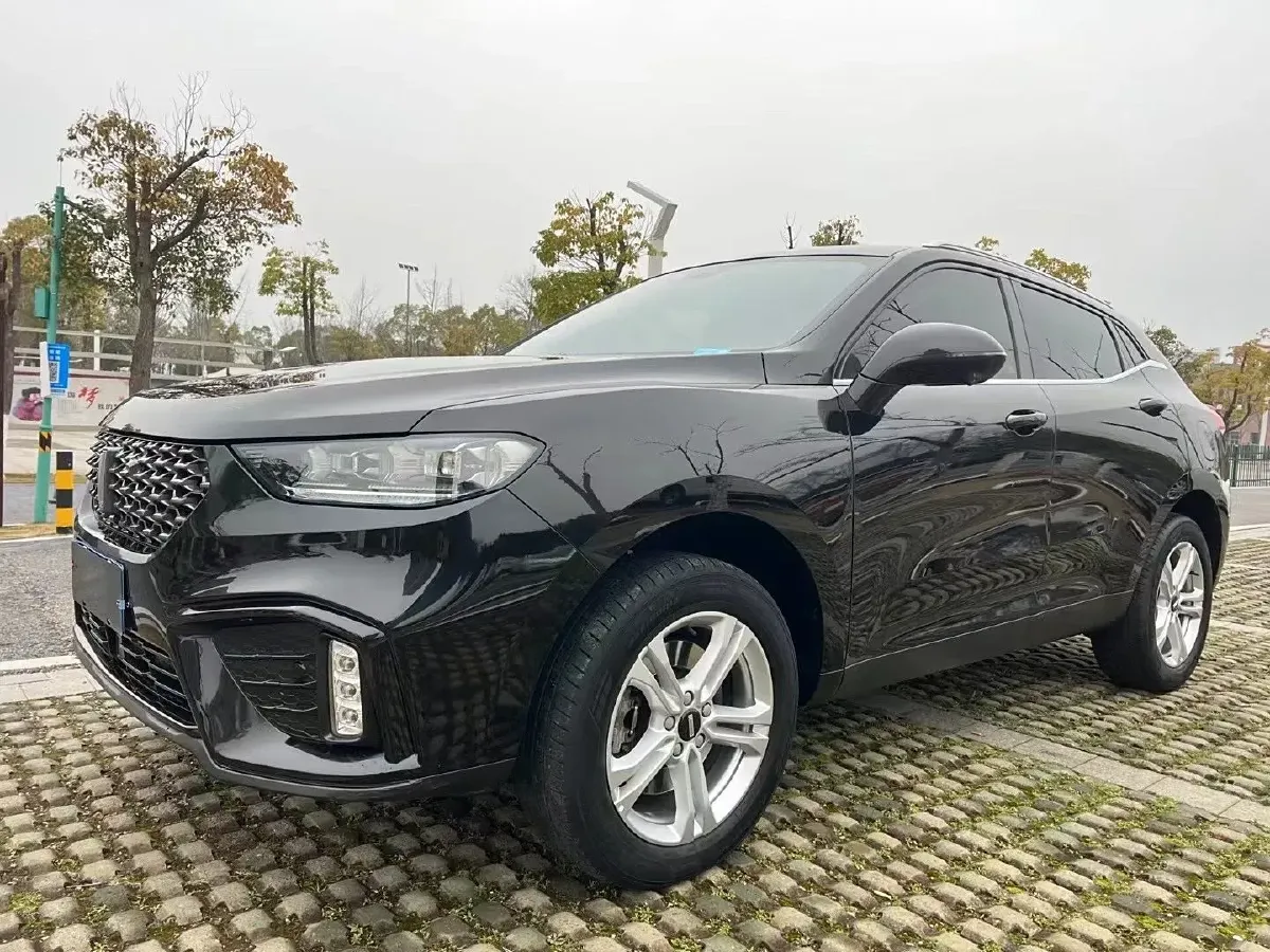 2019 WEY VV5 1.5T 169HP L4 7DCT,autocango,china used car exporter,china ev exporter,chinese used car exporter,chinese used ev exporter