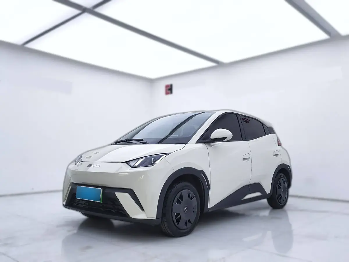 2024 BYD Seagull BEV 30.08KWH