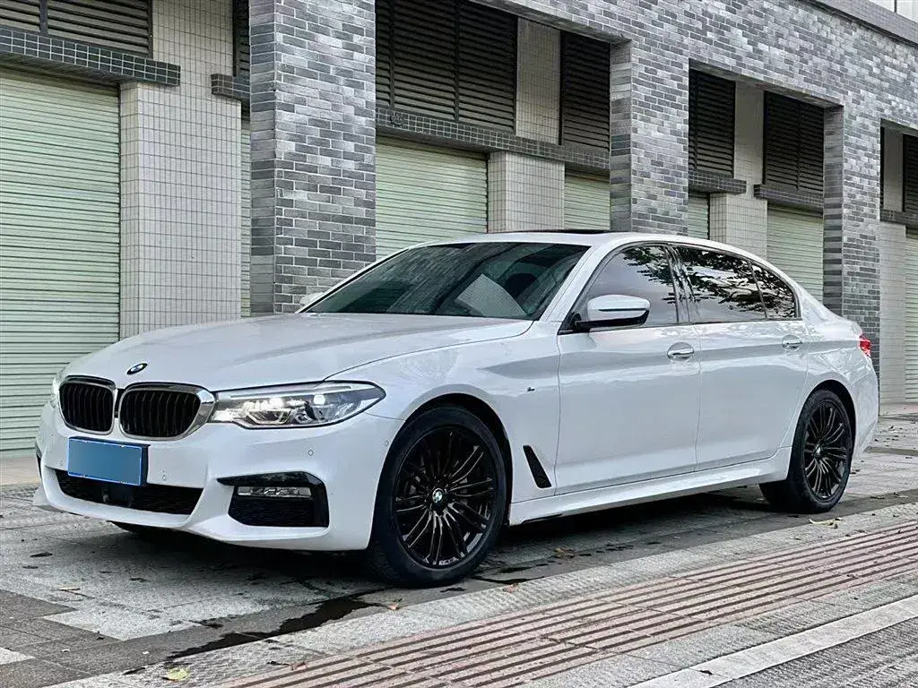2019 BMW 5 Series 2.0T 252HP L4 8AT