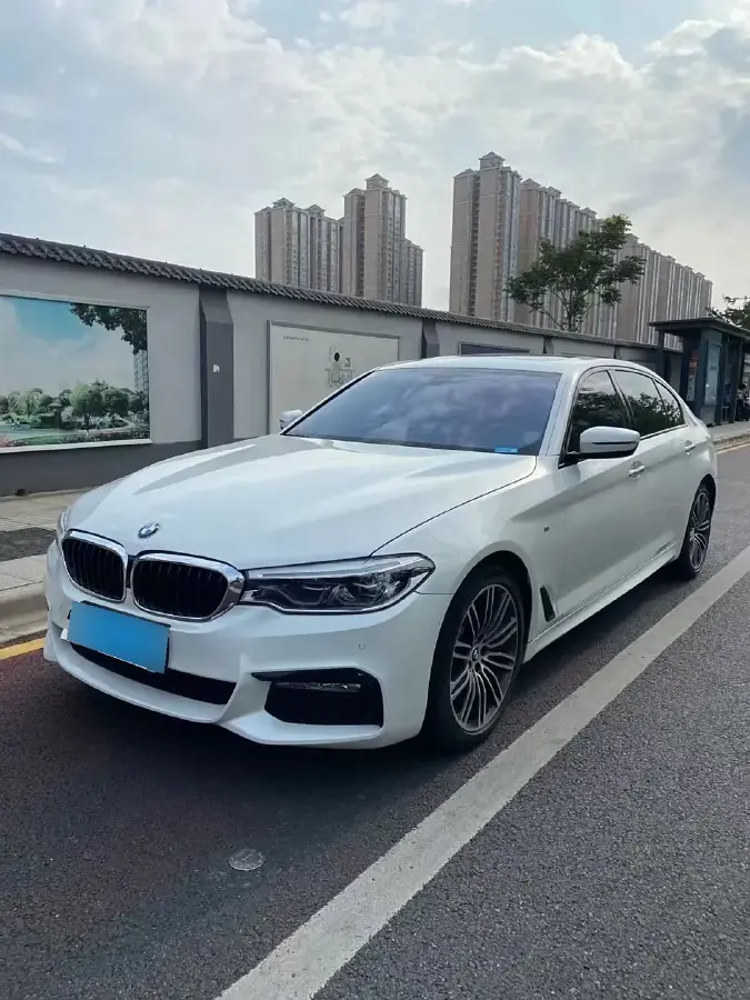 2018 BMW 5 Series 2.0T 252HP L4 8AT