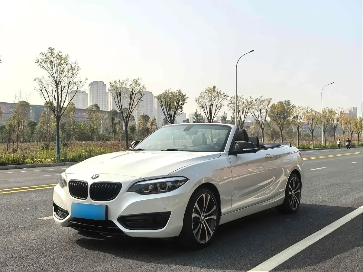 2019 BMW 2 Series 2.0T 184HP L4 8AT
