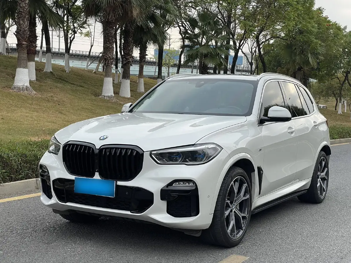 2020 BMW X5 3.0T 340HP L6 8AT