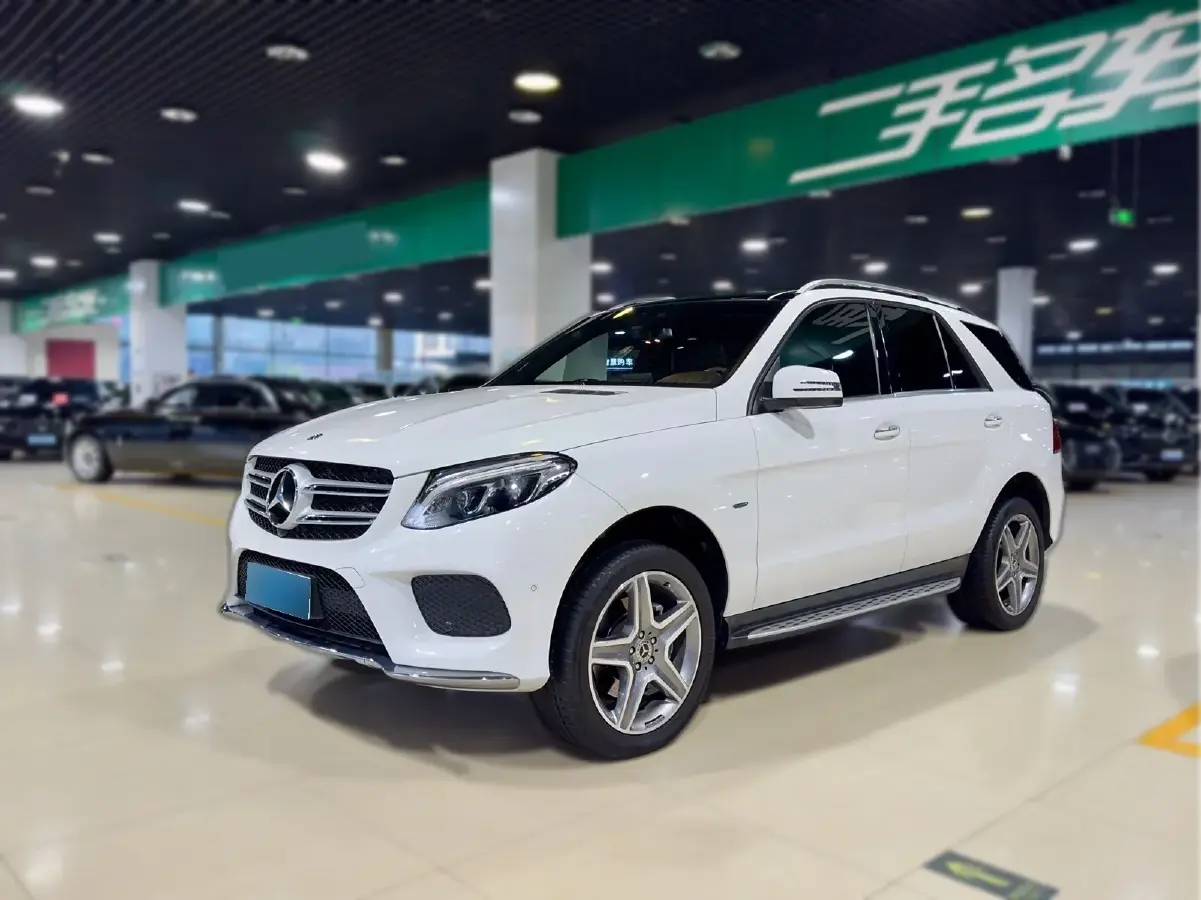 2019 Mercedes-Benz GLE Class 3.0T 333HP V6 9AT