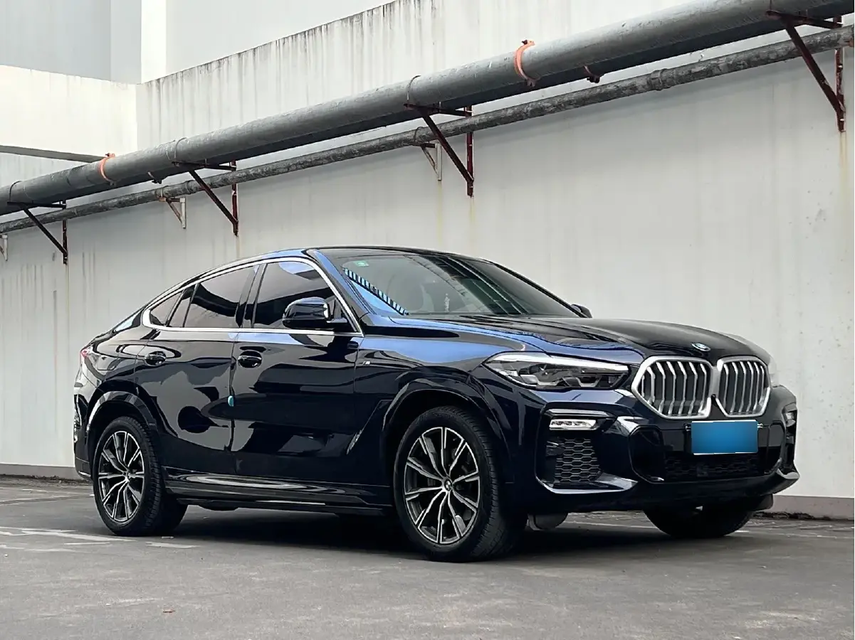 2020 BMW X6 2.0T 265HP L4 8AT