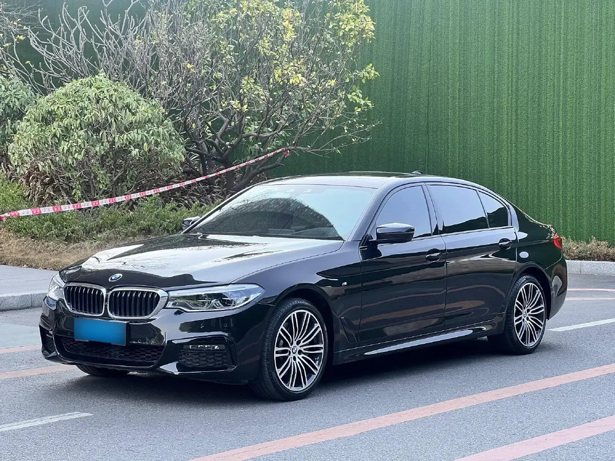 2019 BMW 5 Series 2.0T 252HP L4 8AT
