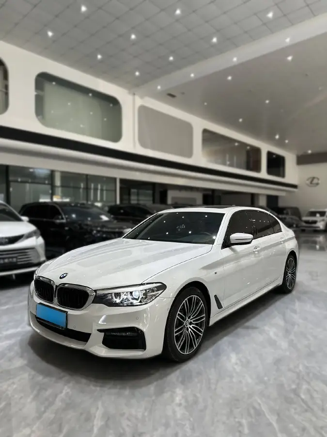 2019 BMW 5 Series 2.0T 252HP L4 8AT