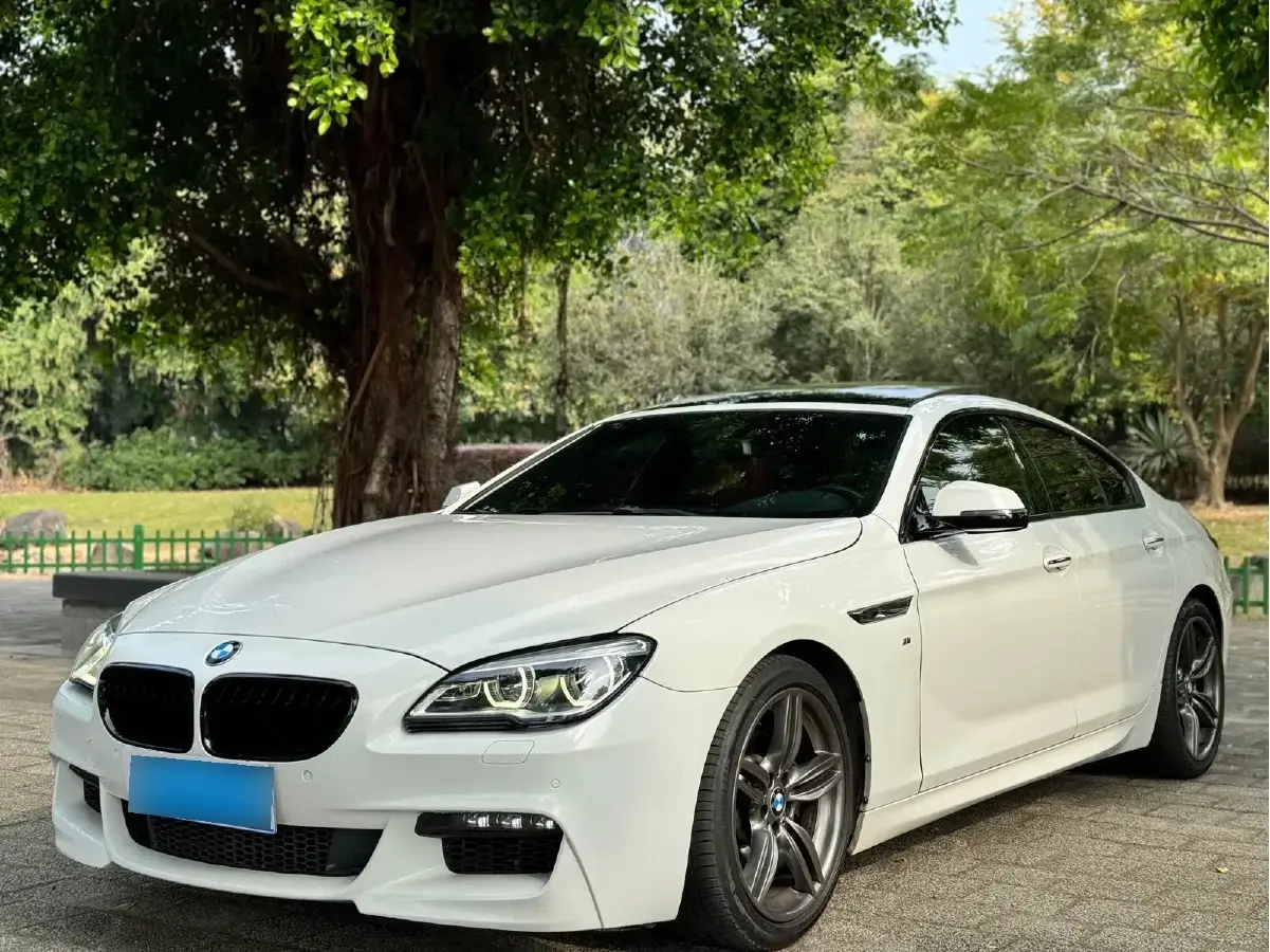 2016 BMW 6 Series 3.0T 320HP L6 8AT