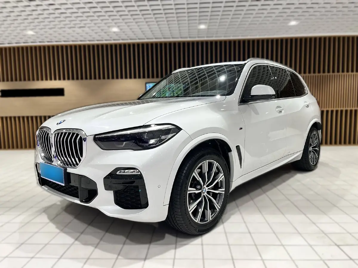 2020 BMW X5 2.0T 265HP L4 8AT