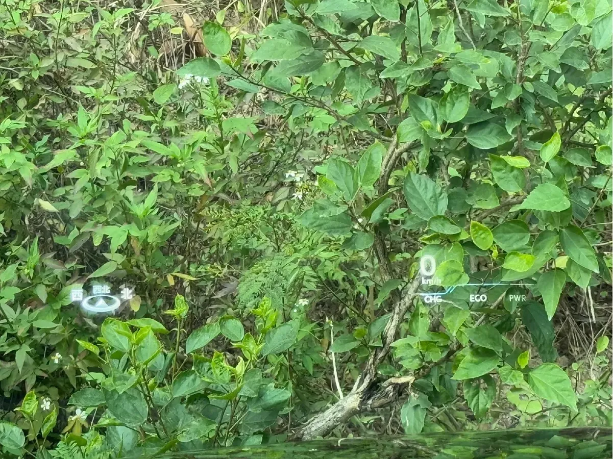 2018 Lexus LS 3.5L 299HP V6 E-CVT Hybrid,autocango,china used car exporter,china ev exporter,chinese used car exporter,chinese used ev exporter