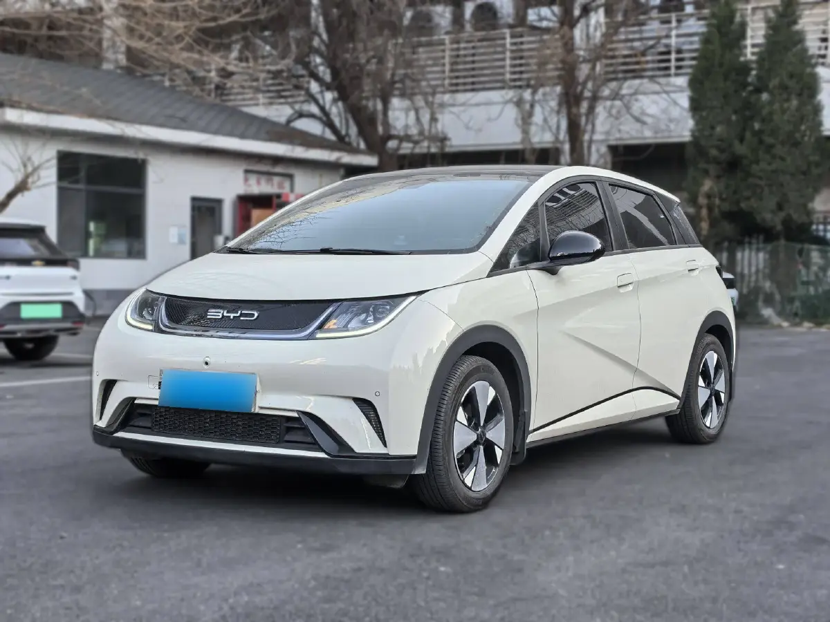 2024 BYD Dolphin BEV 44.928KWH