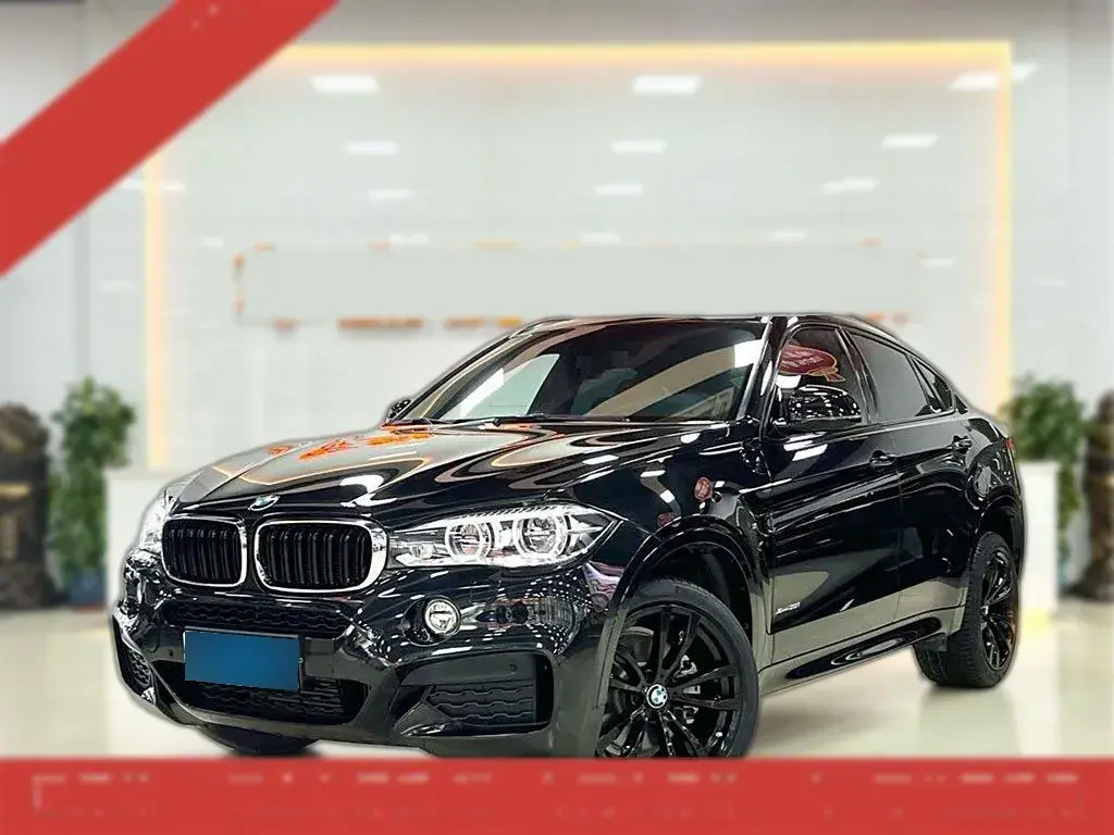2018 BMW X6 3.0T 306HP L6 8AT