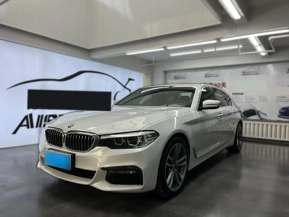 2019 BMW 5 Series 2.0T 252HP L4 8AT