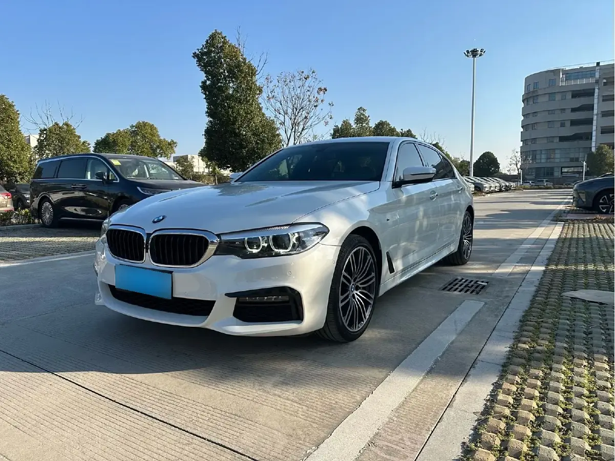 2019 BMW 5 Series 2.0T 252HP L4 8AT