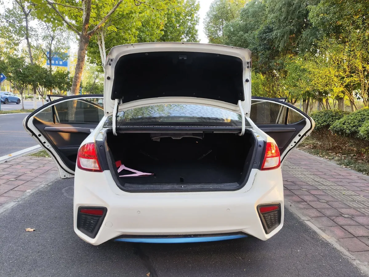 2019 JAC iEVA50 BEV,autocango,china used car exporter,china ev exporter,chinese used car exporter,chinese used ev exporter