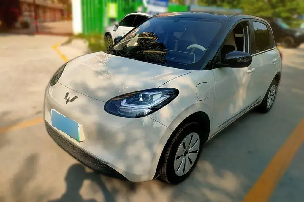 2023 WuLing BinGuo BEV 31.9KWH
