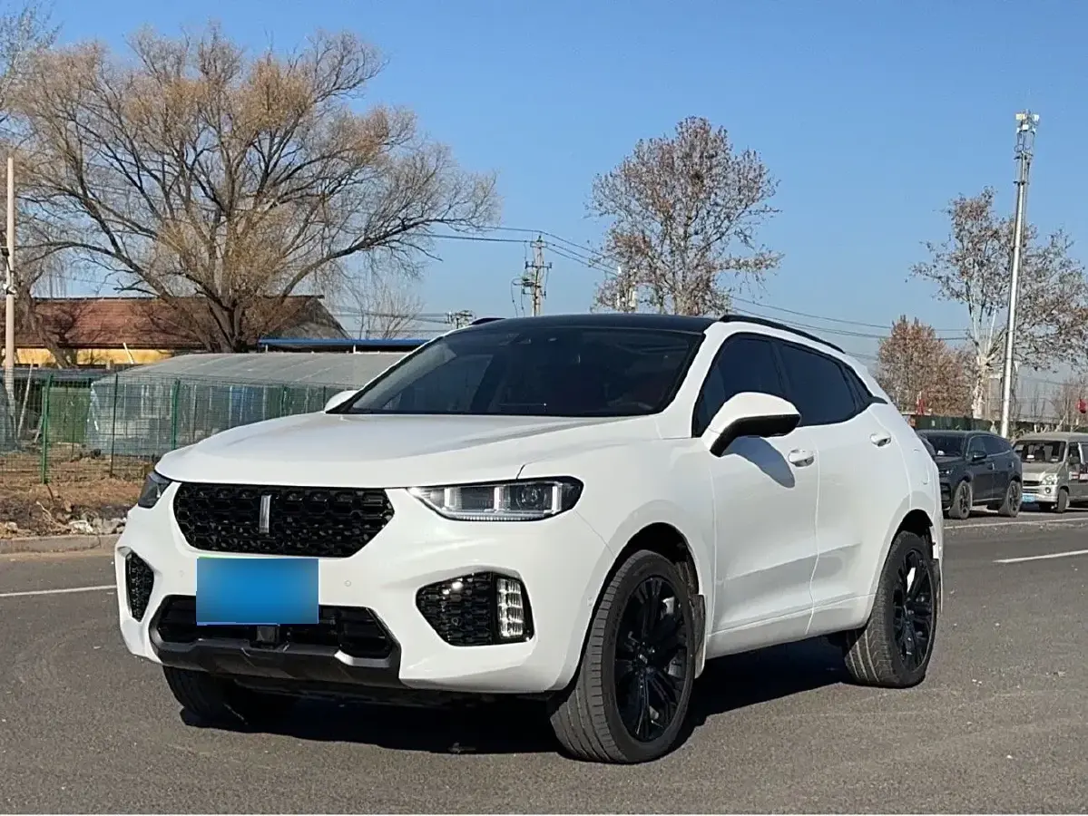 2017 WEY VV5 2.0T 197HP L4 7DCT