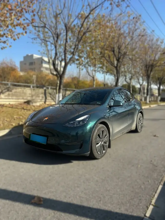 2021 Tesla Model Y BEV 60KWH