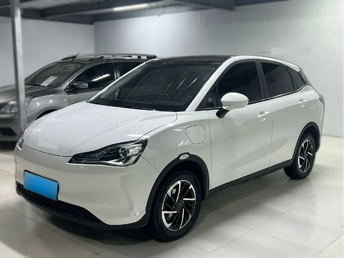 2021 Neta V BEV 31.18KWH