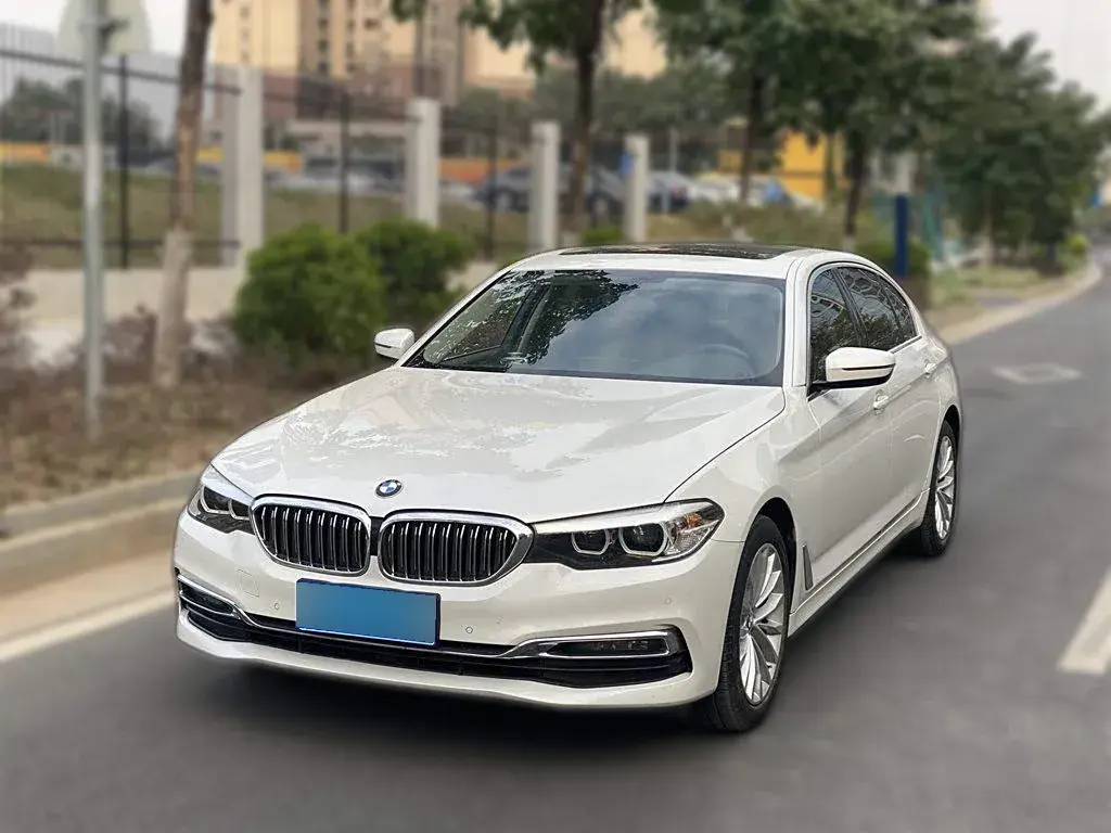 2019 BMW 5 Series 2.0T 252HP L4 8AT
