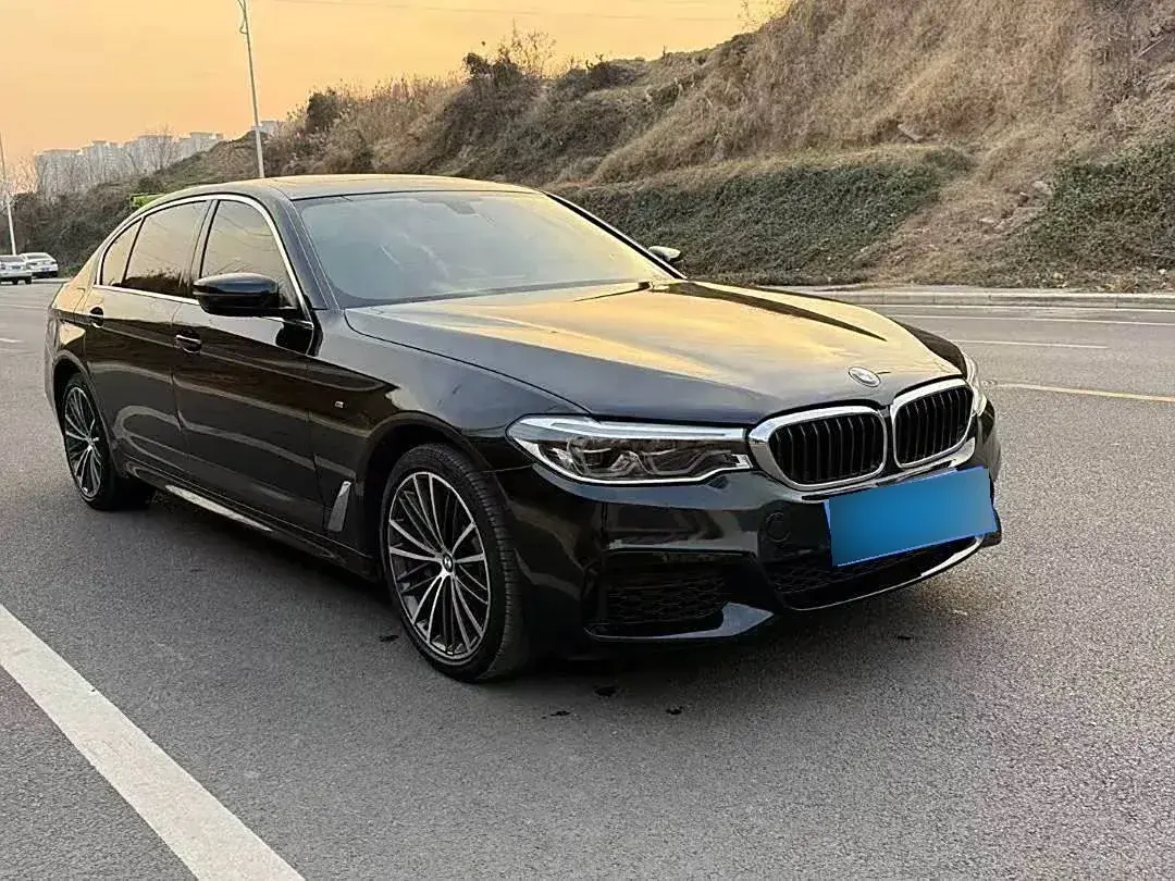 2020 BMW 5 Series 2.0T 252HP L4 8AT
