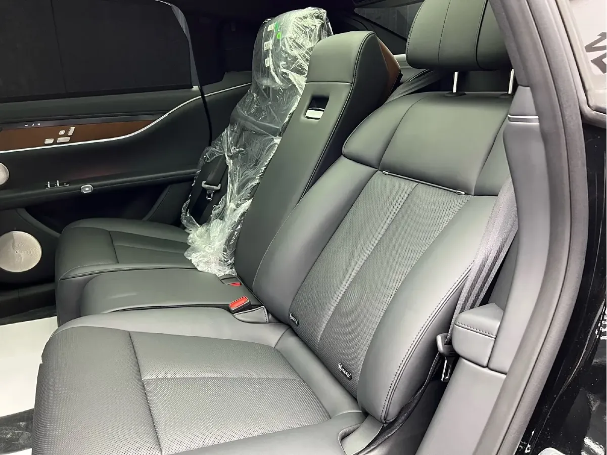 2024 HIMA Stelato S9 BEV 100KWH,autocango,china used car exporter,china ev exporter,chinese used car exporter,chinese used ev exporter