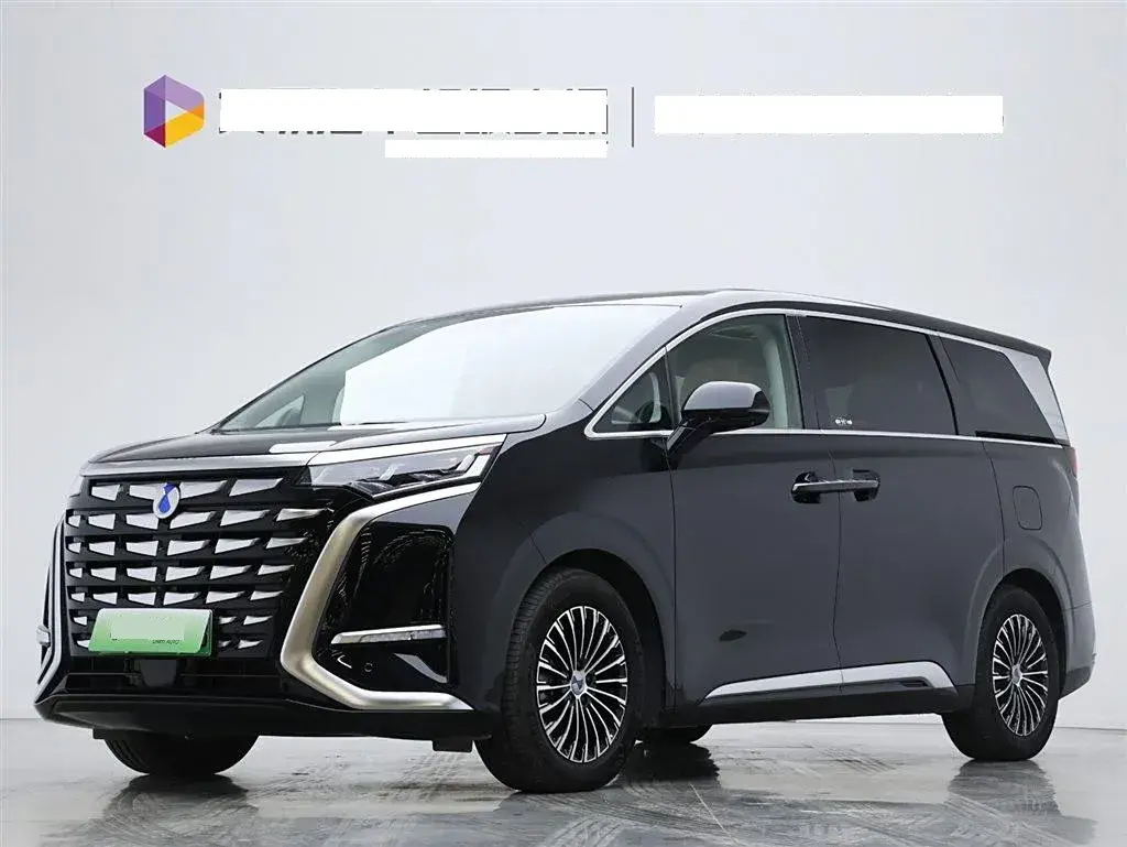 2022 Denza D9 1.5T 139HP L4 E-CVT PHEV 40.06KWH