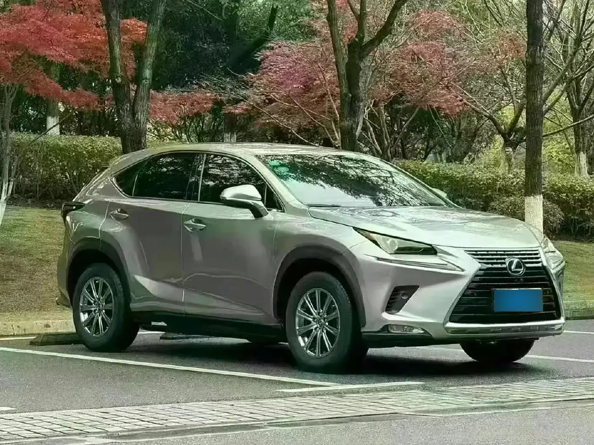 2018 Lexus NX 2.0T 238HP L4 6AT