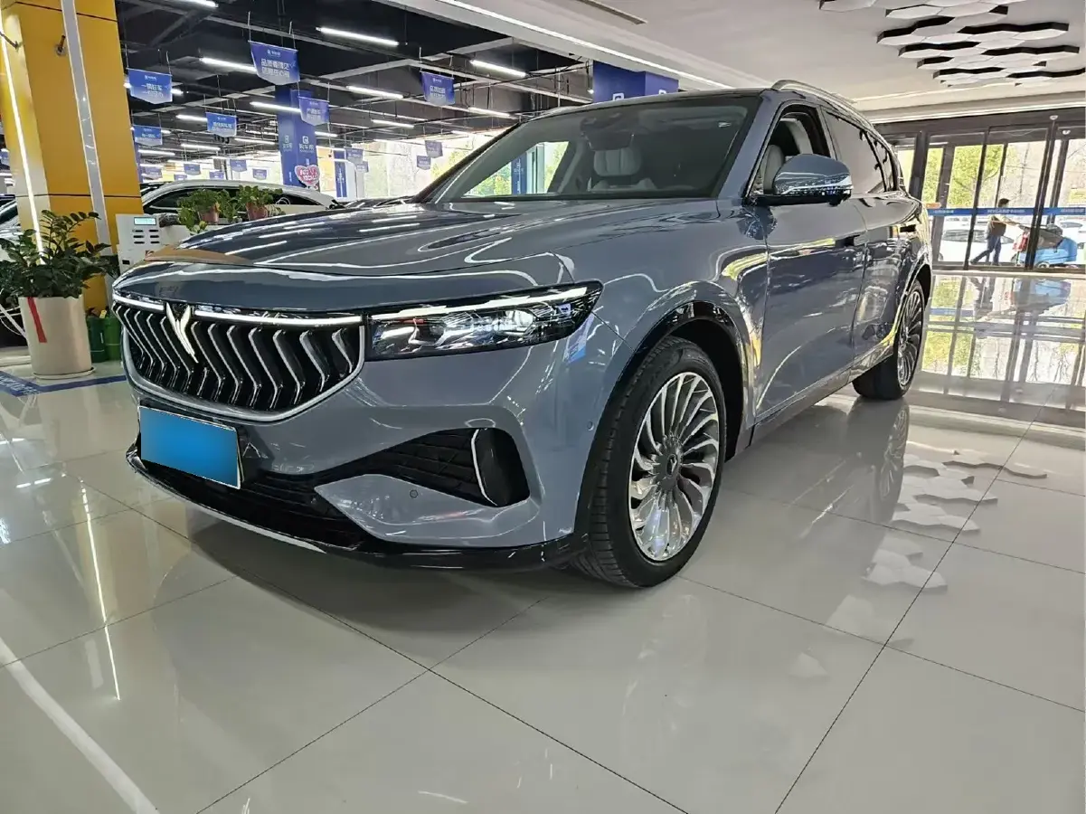 2021 Voyah FREE Range Extended 109HP REEV 33KWH