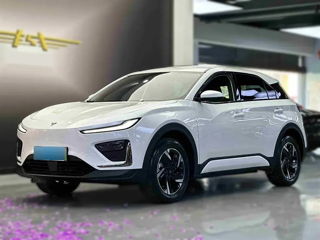 2025 Neta X BEV 63.5KWH