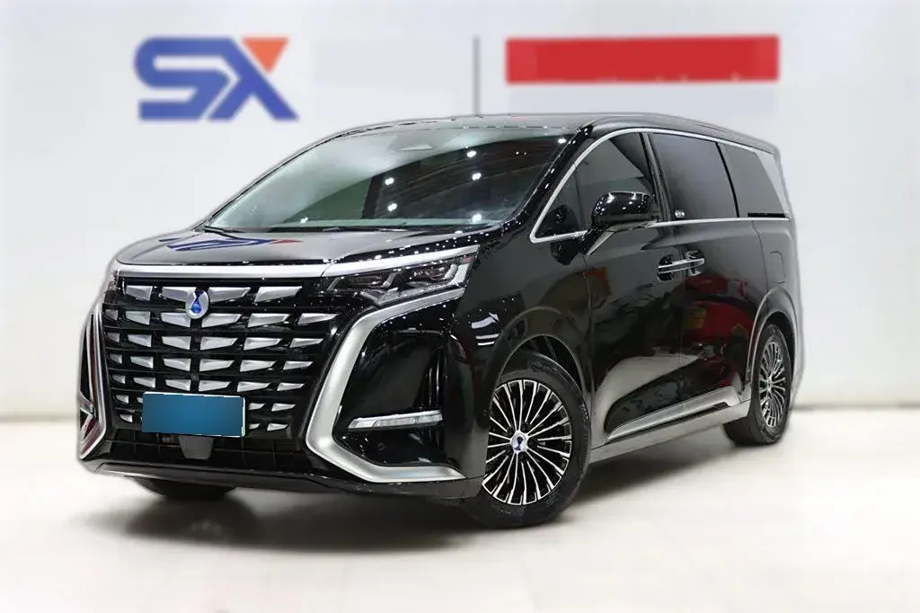 2022 Denza D9 1.5T 139HP L4 E-CVT PHEV 40.06KWH