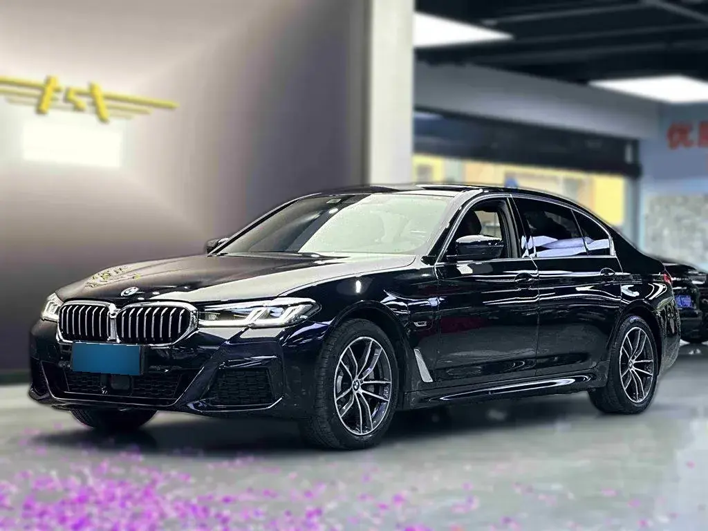 2022 BMW 5 Series 2.0T 184HP L4 8AT PHEV 17.7KWH