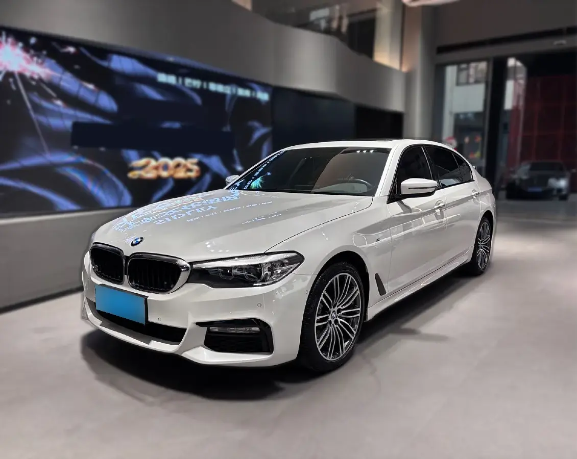 2018 BMW 5 Series 2.0T 252HP L4 8AT 2018 BMW 5 Series 2.0T 252HP L4 8AT