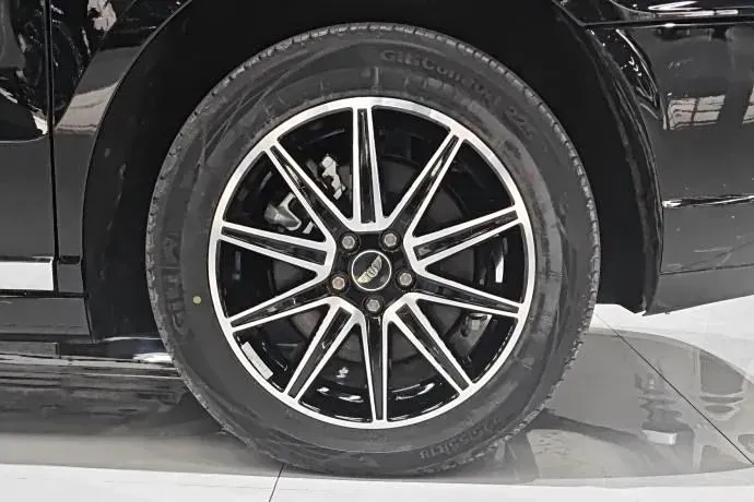 2022 LEVC TX Range Extended 163HP REEV 26KWH,autocango,china used car exporter,china ev exporter,chinese used car exporter,chinese used ev exporter