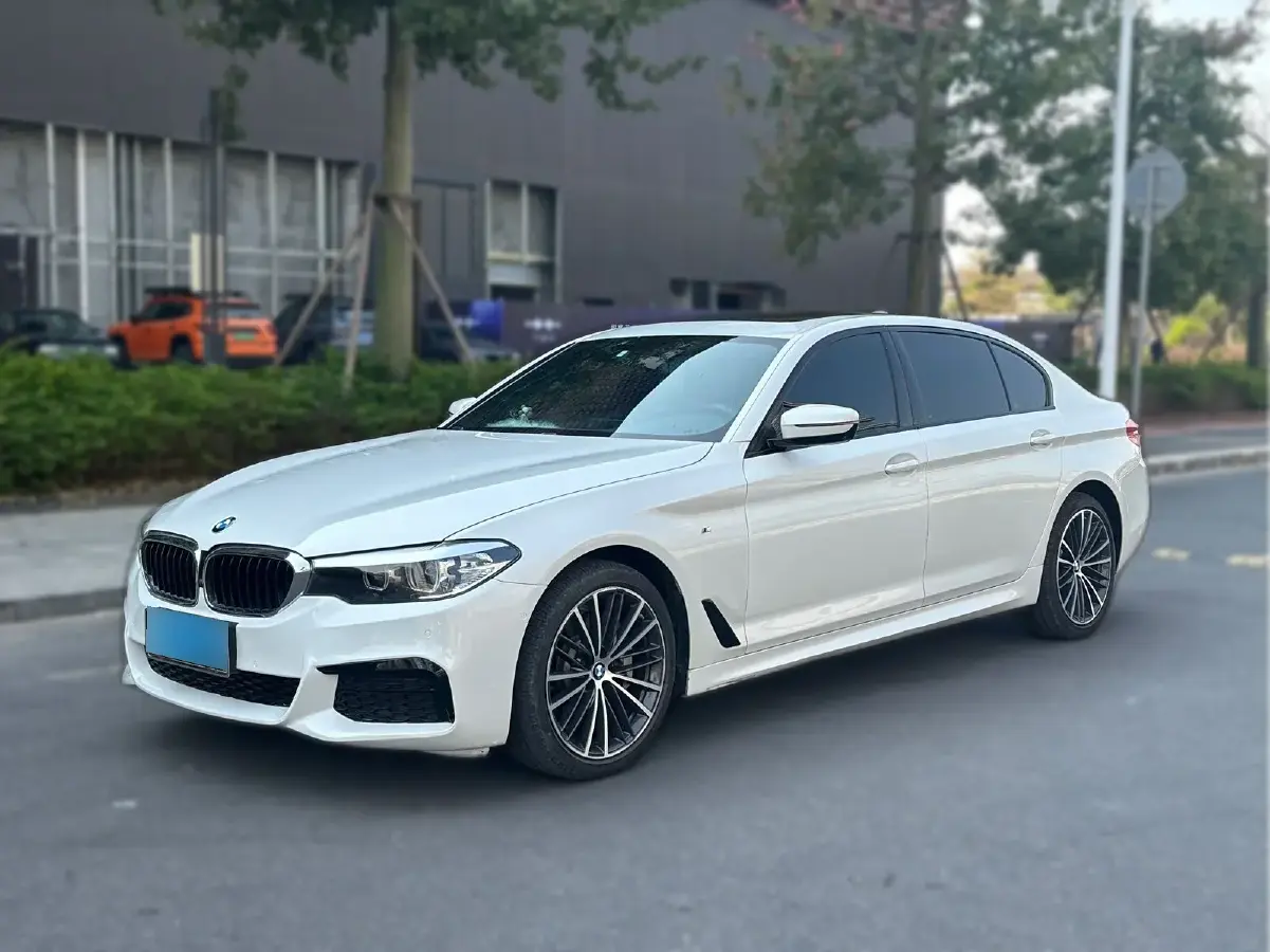 2019 BMW 5 Series 2.0T 252HP L4 8AT