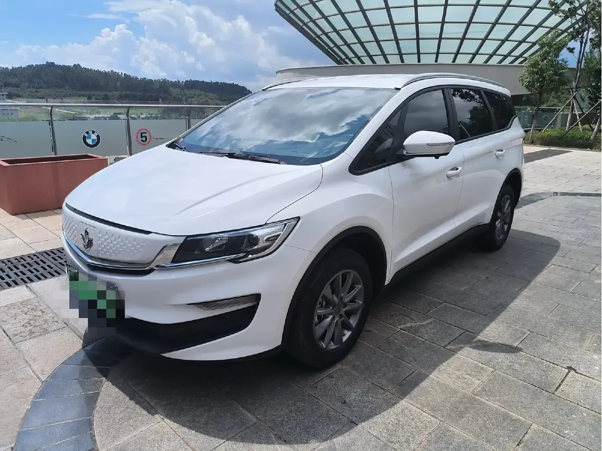 2021 Livan Maple 80v BEV 53KWH