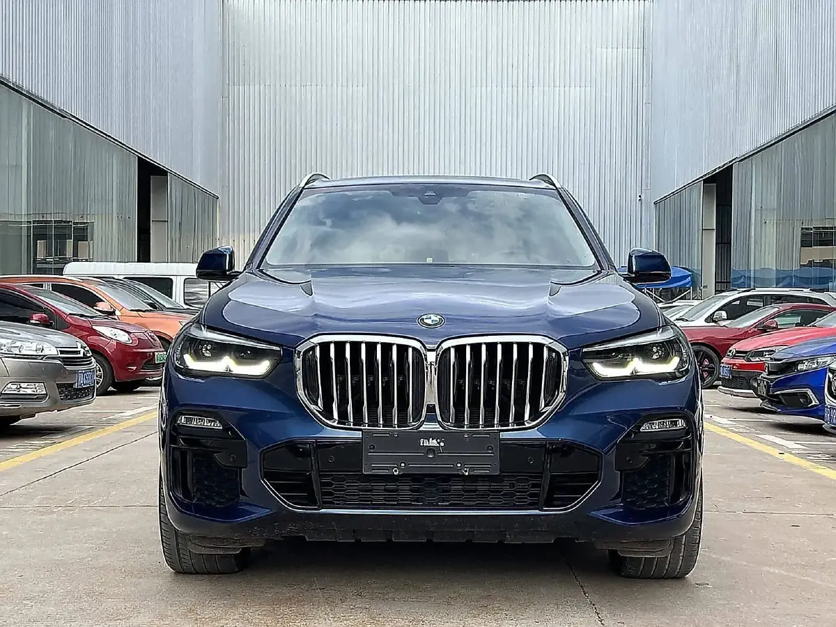 2019 BMW X5 2.0T 265HP L4 8AT