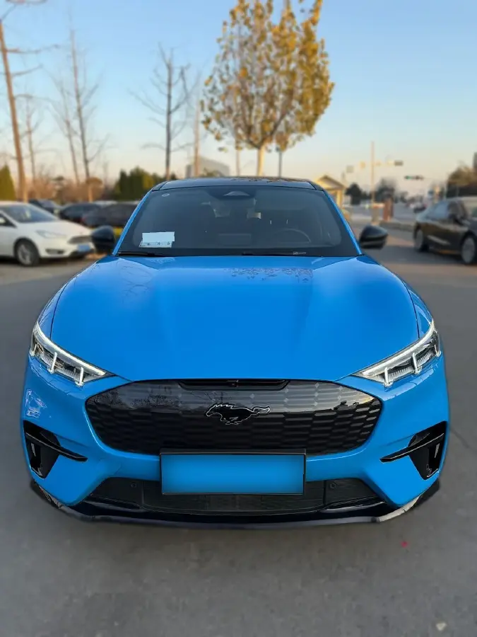 2021 Ford Mustang Mach-E BEV 80.3KWH