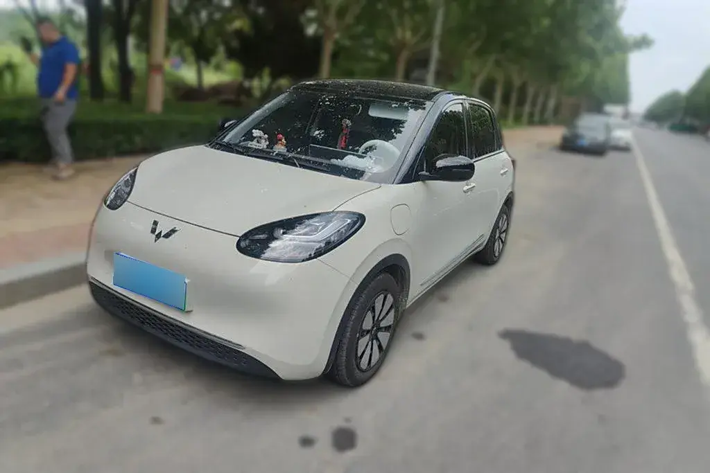 2023 WuLing BinGuo BEV 37.9KWH
