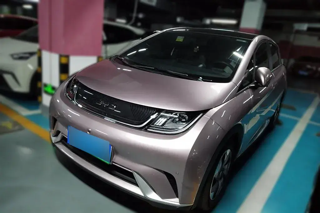 2024 BYD Dolphin BEV 44.928KWH