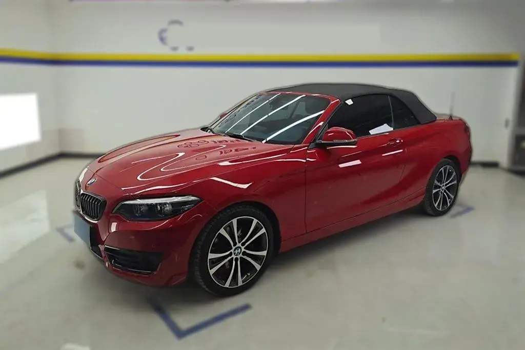 2019 BMW 2 Series 2.0T 184HP L4 8AT