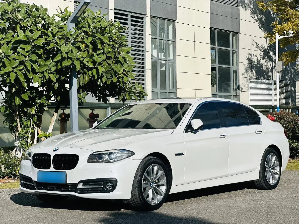 2017 BMW 5 Series 2.0T 218HP L4 8AT