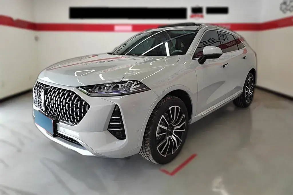 2021 WEY Mocha 2.0T 214HP L4 9DCT