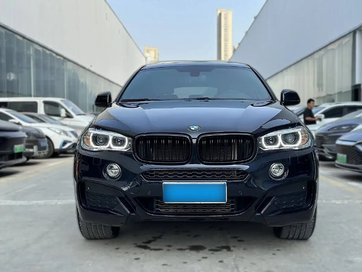 2018 BMW X6 2.0T 245HP L4 8AT