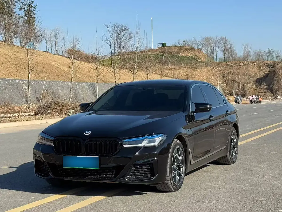 2019 BMW 5 Series 2.0T 184HP L4 8AT PHEV 13KWH