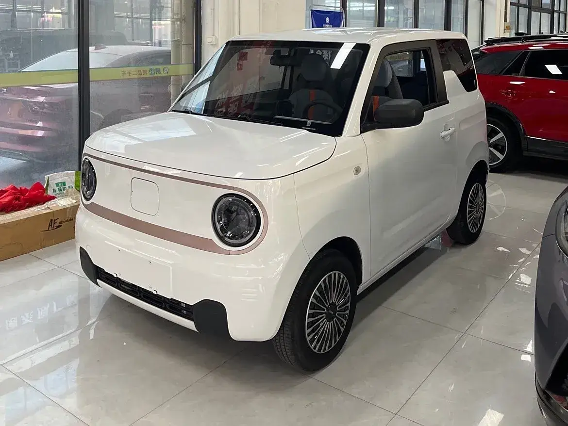 2023 Geely Panda BEV 17.03KWH