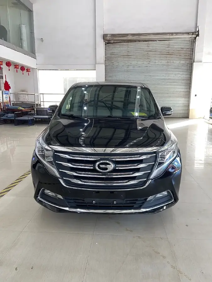 2020 GAC Trumpchi M8 2.0T 252HP L4 8AT