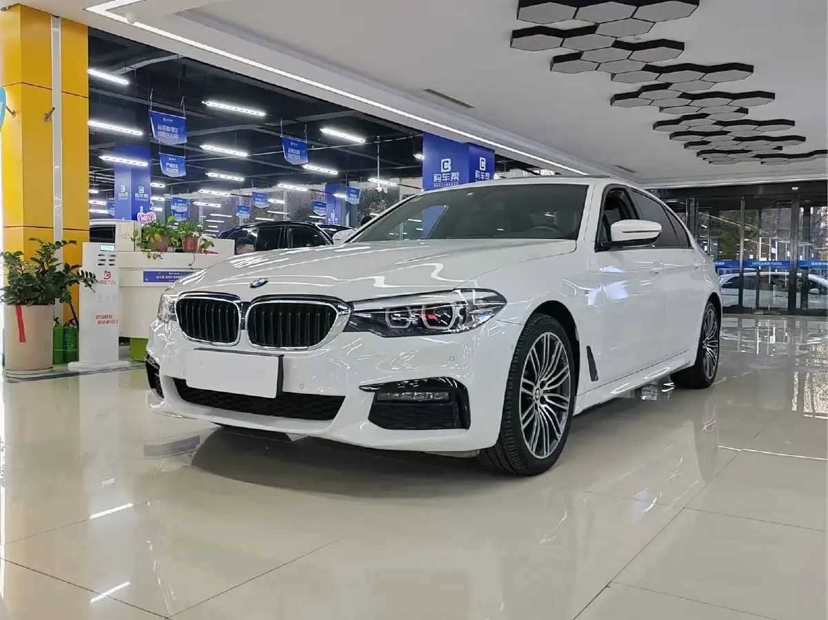 2019 BMW 5 Series 2.0T 252HP L4 8AT